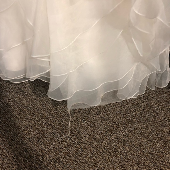 Michelle Roth Wedding Dress from Kleinfeld - Picture 4 of 8